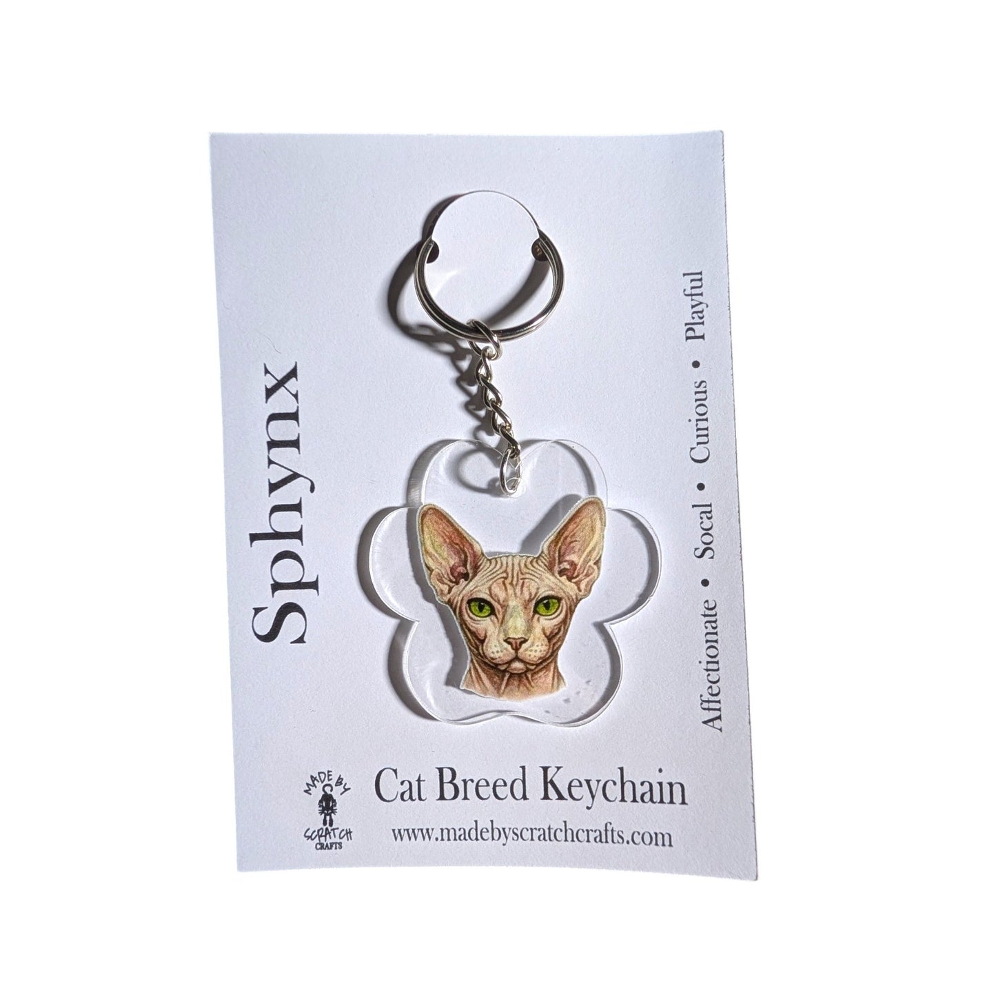 A Sphynx cat breed keychain featuring a detailed illustration of a hairless cat inside a paw print shaped outline, attached to a silver metal keyring and displayed on its white backing card.