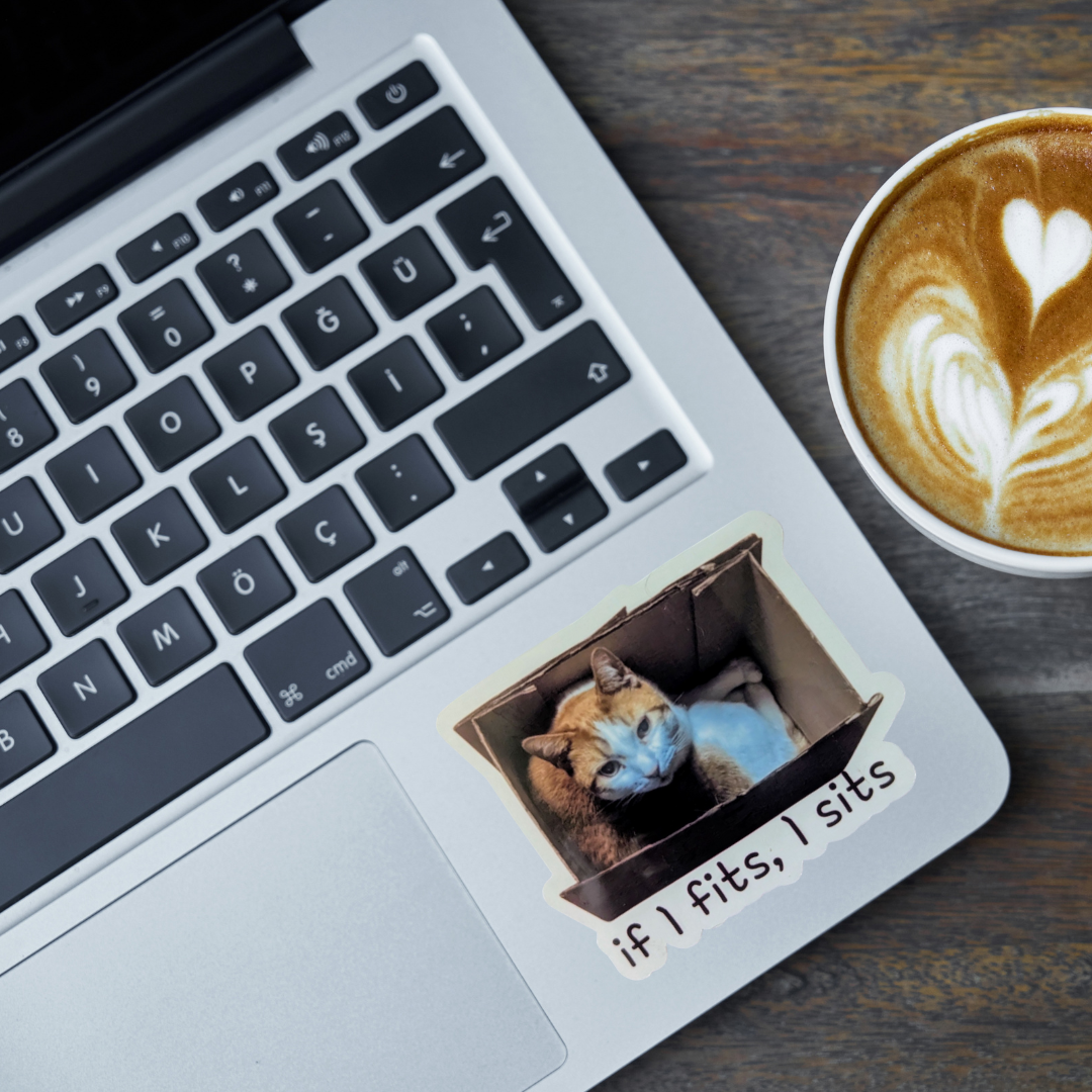 If I Fits, I Sits cat sticker