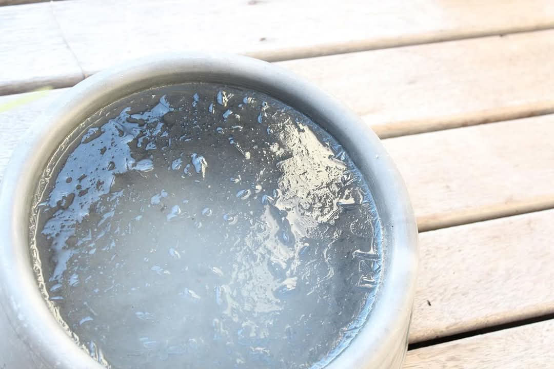 Tips for Keeping Outdoor Cats Water From Freezing