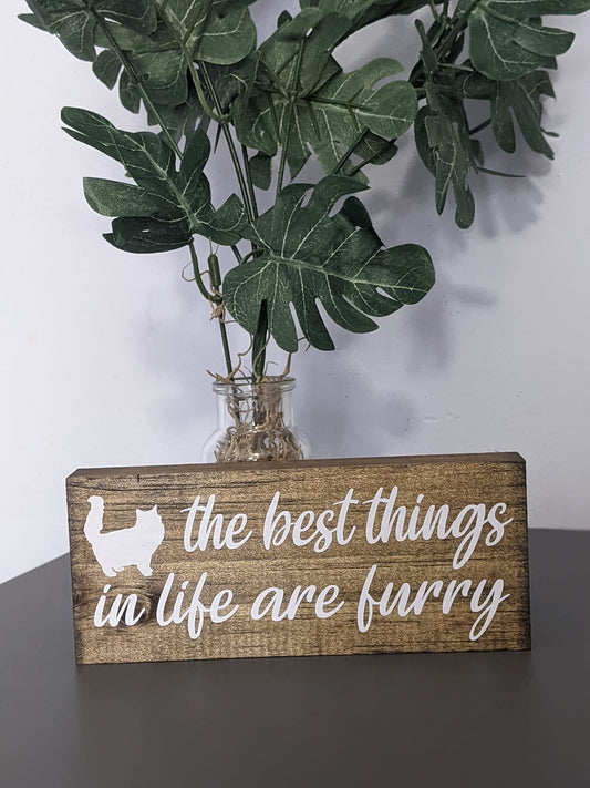 Purr-fect Reasons to Buy Cat Lover Gifts