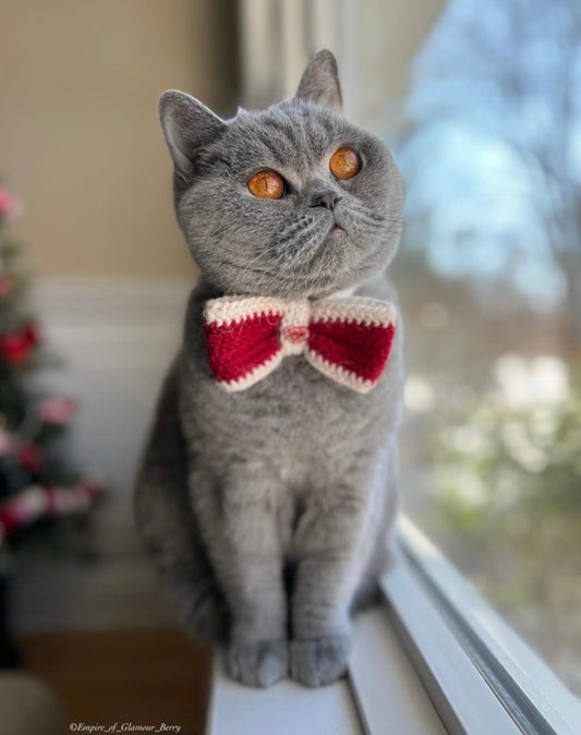 Looking for Last Minute Valentine Gifts for the Cat Lovers in Your Life?