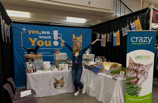 What Is a Cat Con? What to Expect at Your First Cat Convention