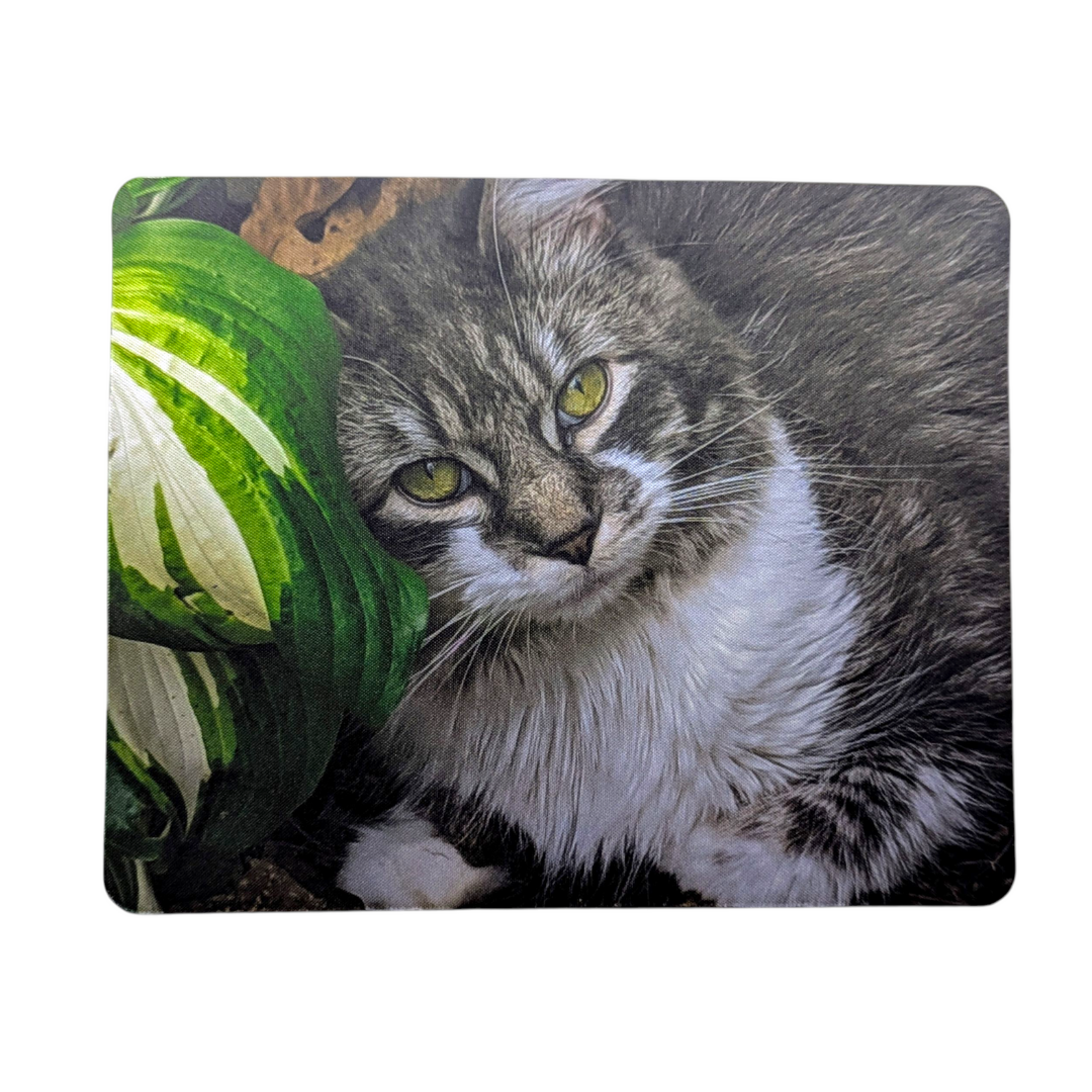 Mousepad featuring a Cat peeking from behind a green leafy plant on a white background