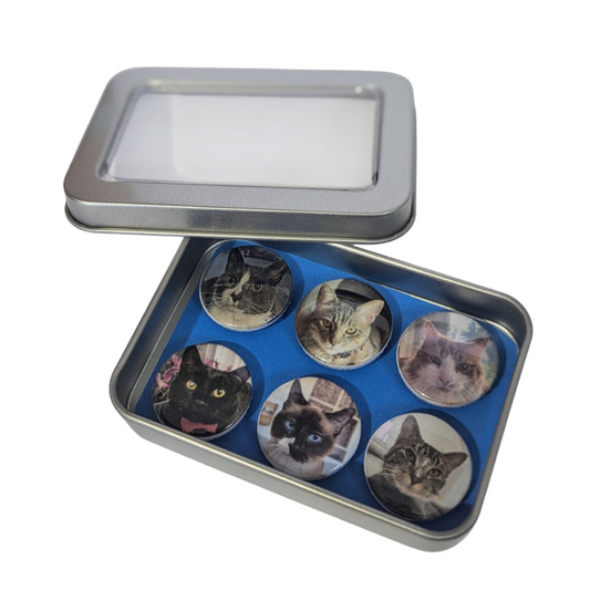 Cat Photo Magnet Set - Made By Scratch Crafts