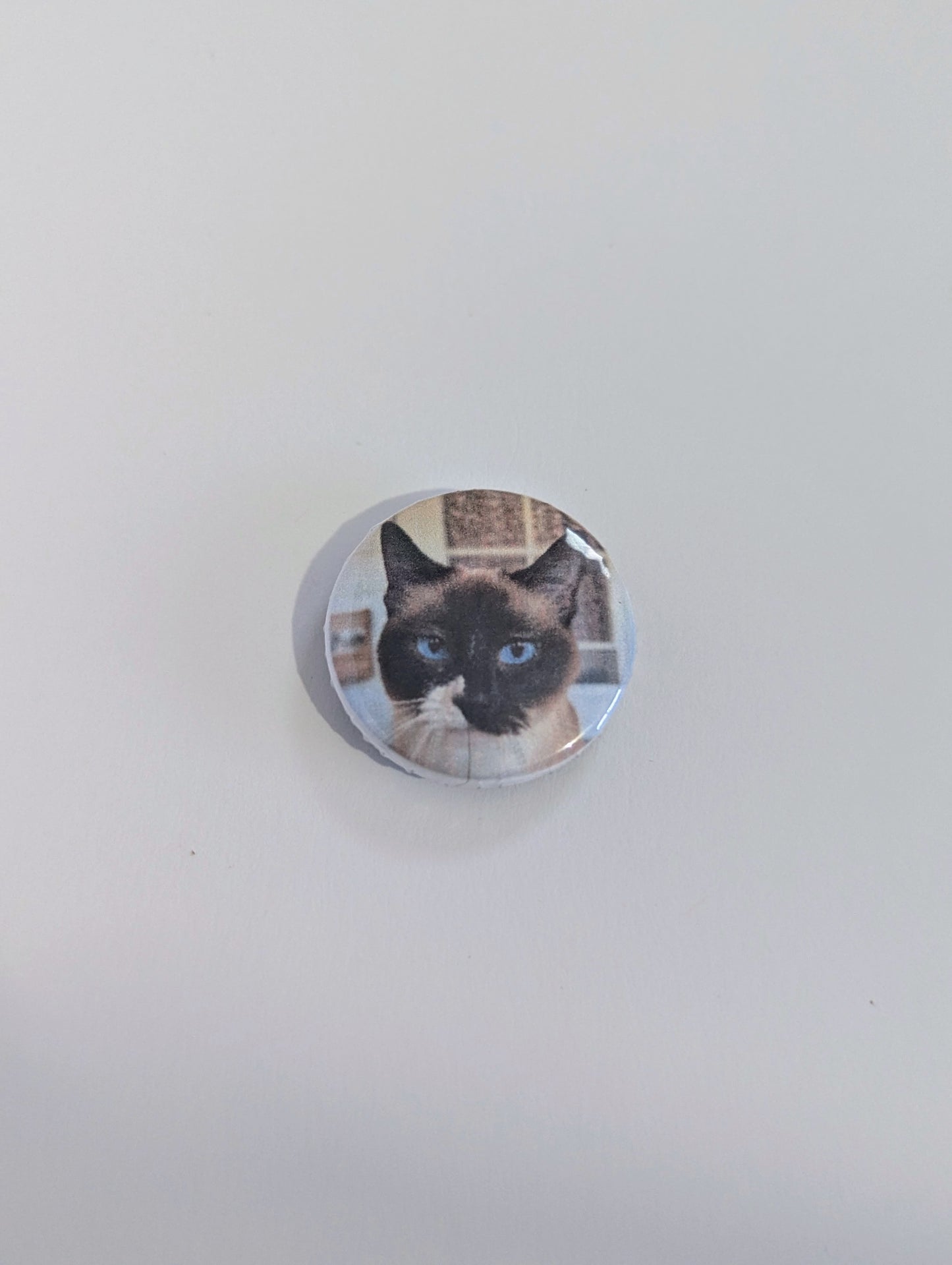 Cat Photo Magnet Set - Made By Scratch Crafts