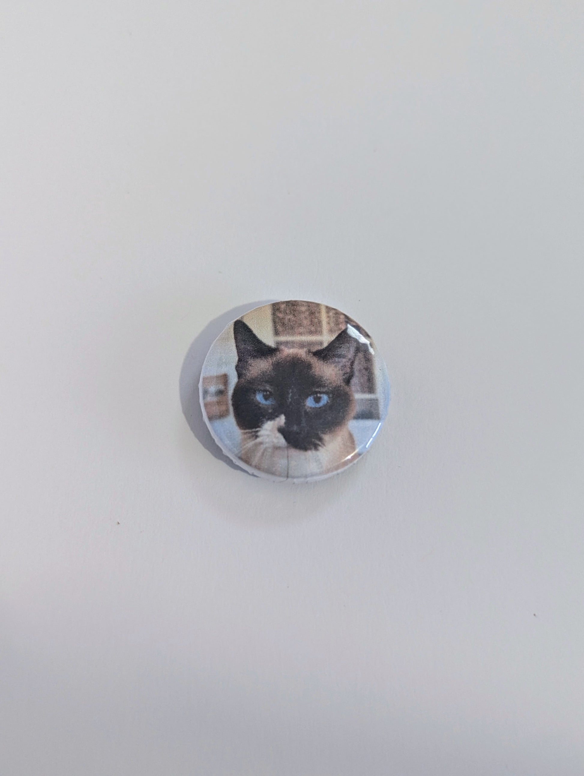 Cat Photo Magnet Set - Made By Scratch Crafts