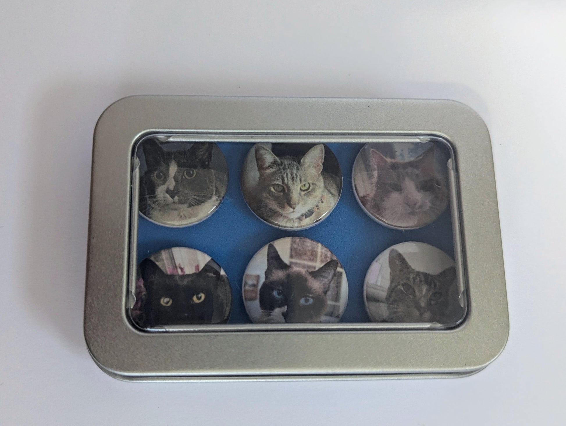Cat Photo Magnet Set - Made By Scratch Crafts