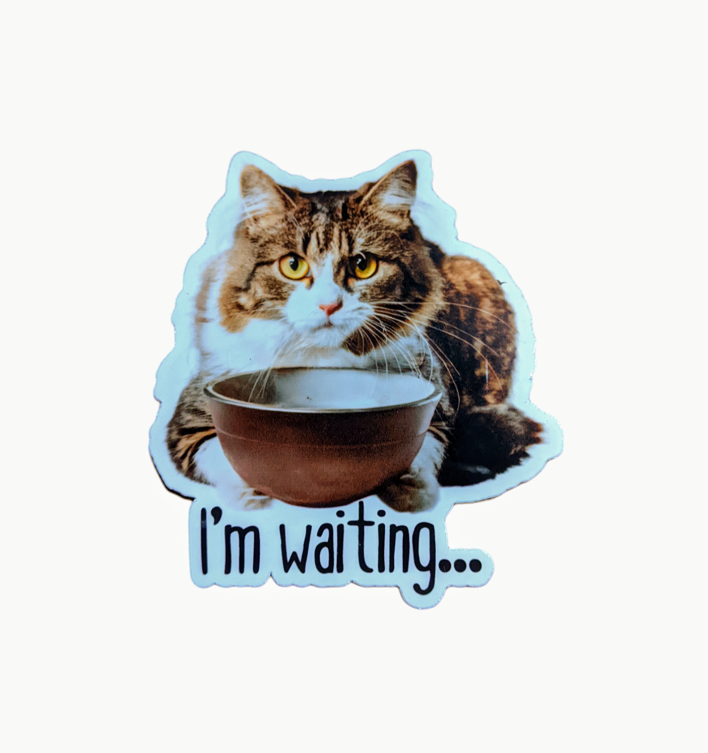 I'm waiting... Hungry Cat sticker