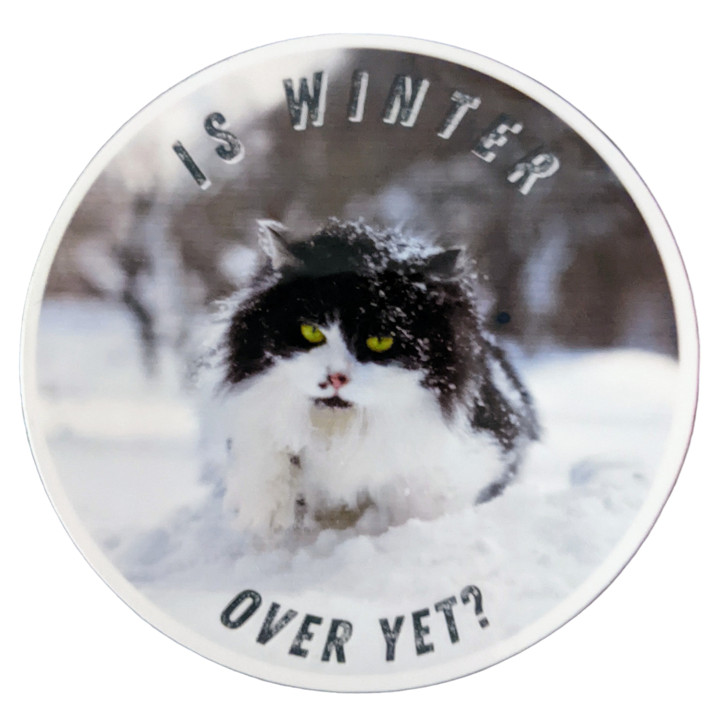 Is Winter Over Yet? cat sticker - Made By Scratch Crafts