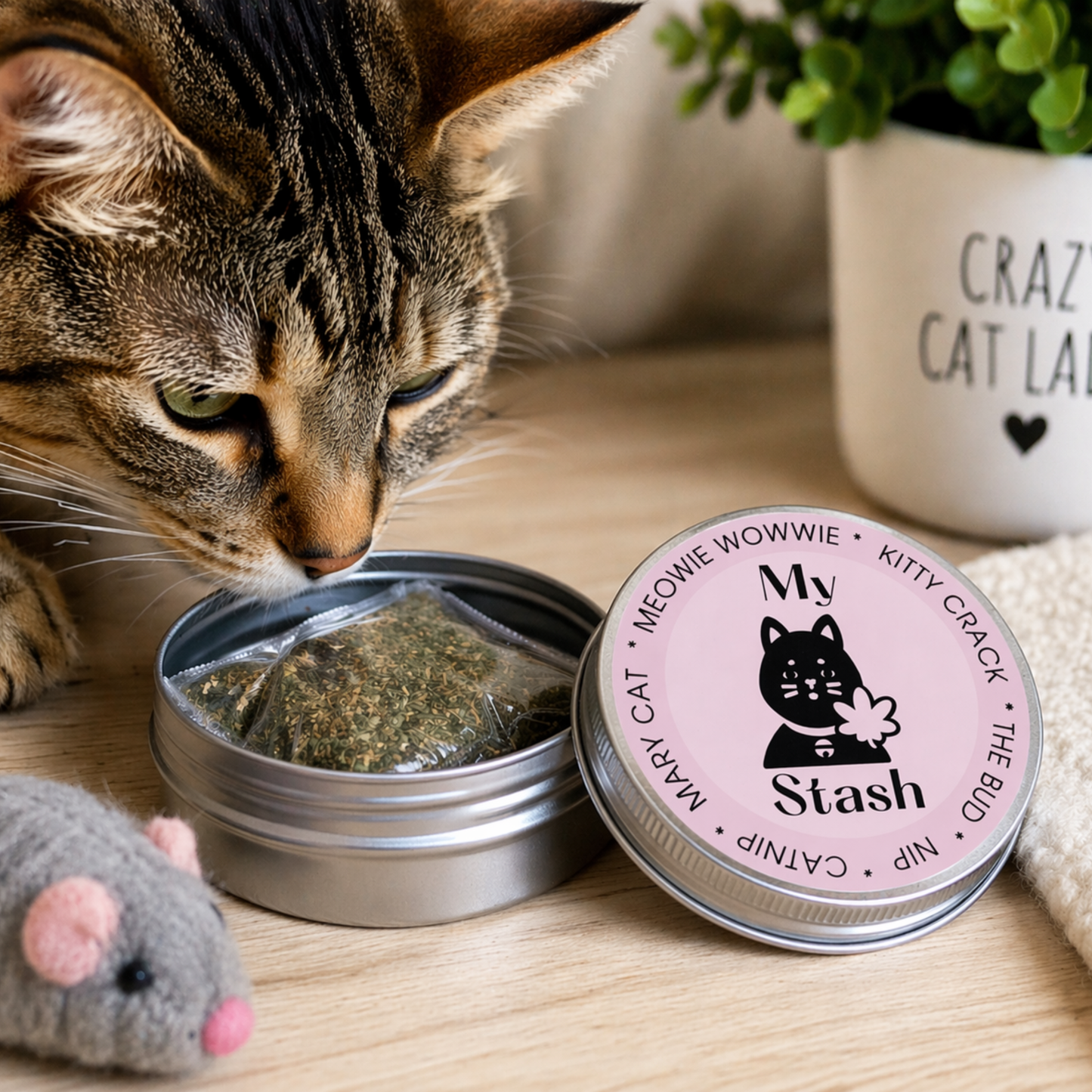 Metal Catnip Stash Jar – Funny Catnip Container with Natural Catnip Included