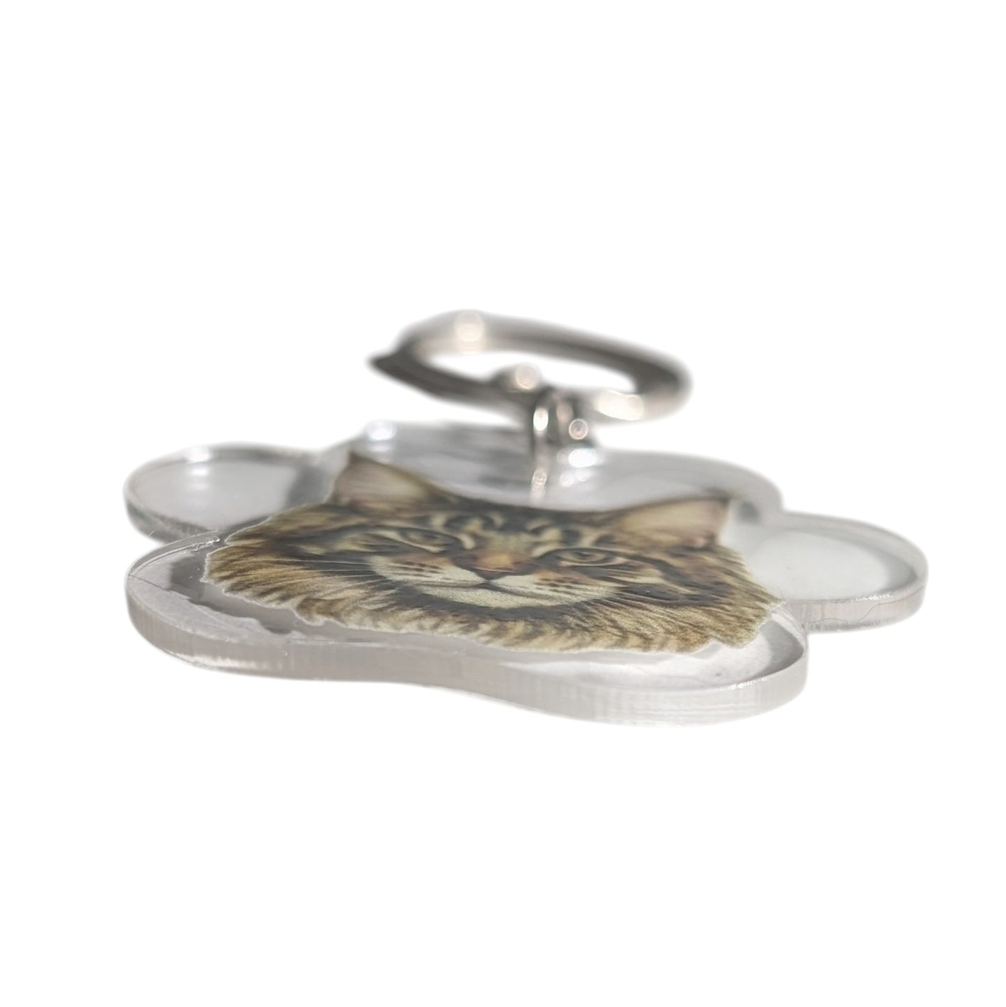 A keychain shaped like a cat paw, featuring a printed Maine Coon cat face in the center, enclosed in a clear acrylic border with a silver metal keyring at the top, shown on a white background.