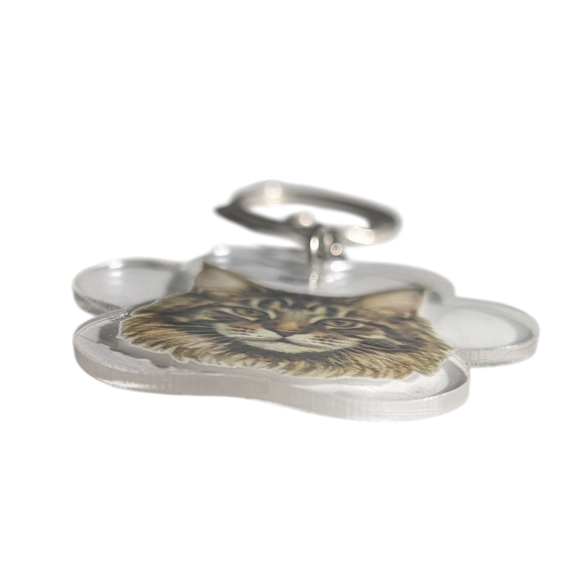 A keychain shaped like a cat paw, featuring a printed Maine Coon cat face in the center, enclosed in a clear acrylic border with a silver metal keyring at the top, shown on a white background.