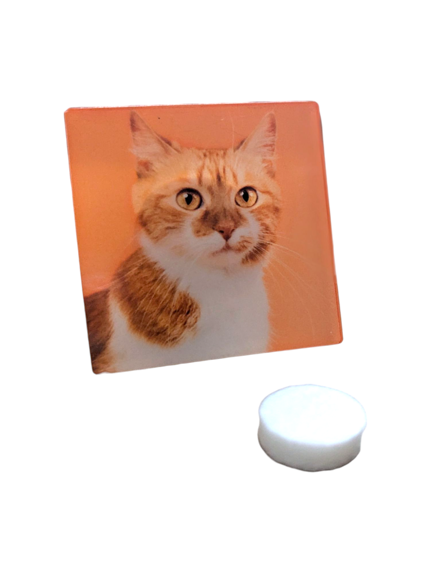 Cat Lover's Car Vent Clip Air Freshener – Refillable Essential Oil Diffuser - Made By Scratch Crafts