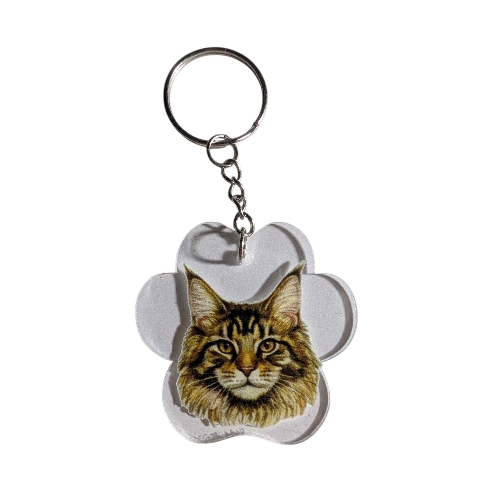 A paw-shaped acrylic keychain featuring a detailed illustration of a Maine Coon cat, attached to a silver metal split key ring on a plain white background.