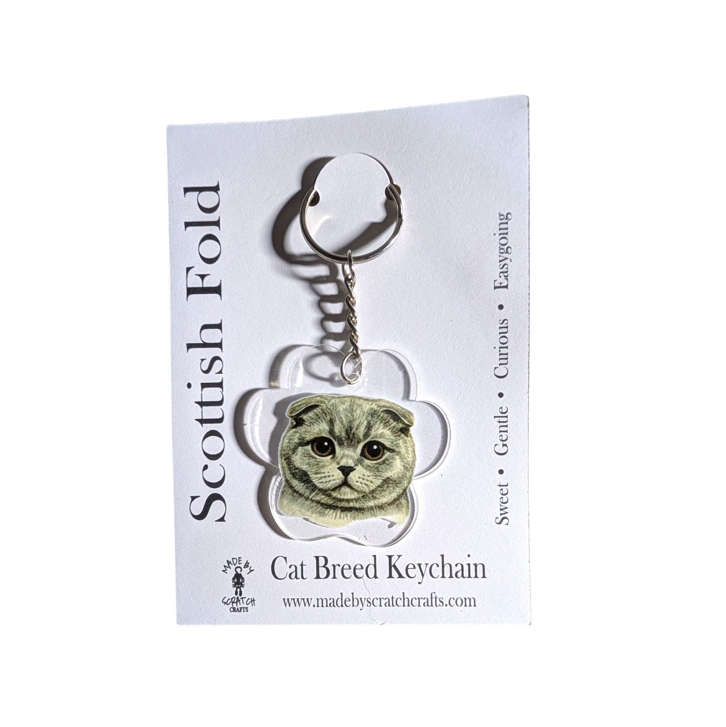 A Scottish Fold cat breed keychain on a white display card. The keychain features a clear acrylic paw-shaped charm with a printed illustration of a gray Scottish Fold cat, attached to a silver metal split ring.
