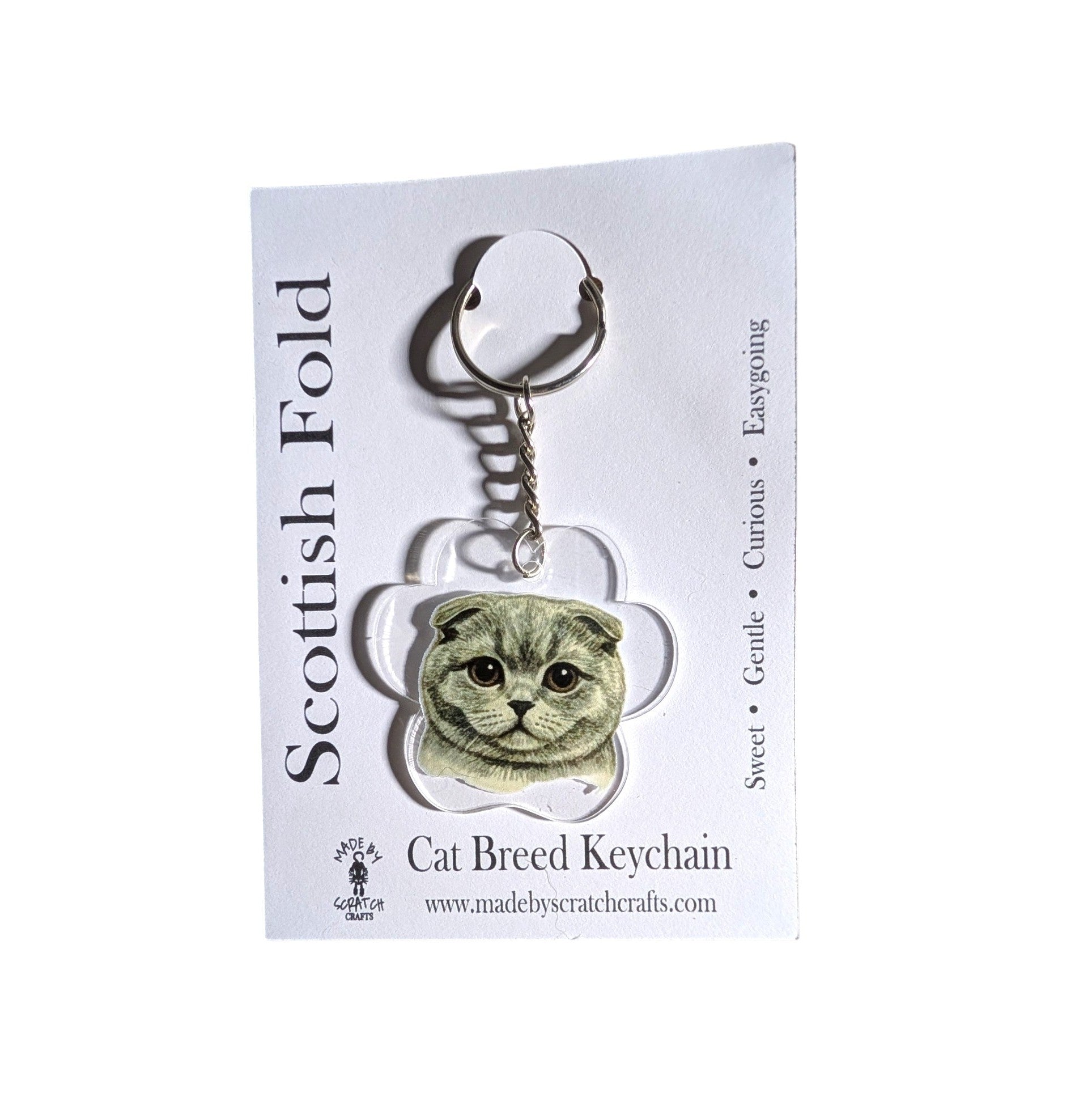A Scottish Fold cat breed keychain on a white display card. The keychain features a clear acrylic paw-shaped charm with a printed illustration of a gray Scottish Fold cat, attached to a silver metal split ring.
