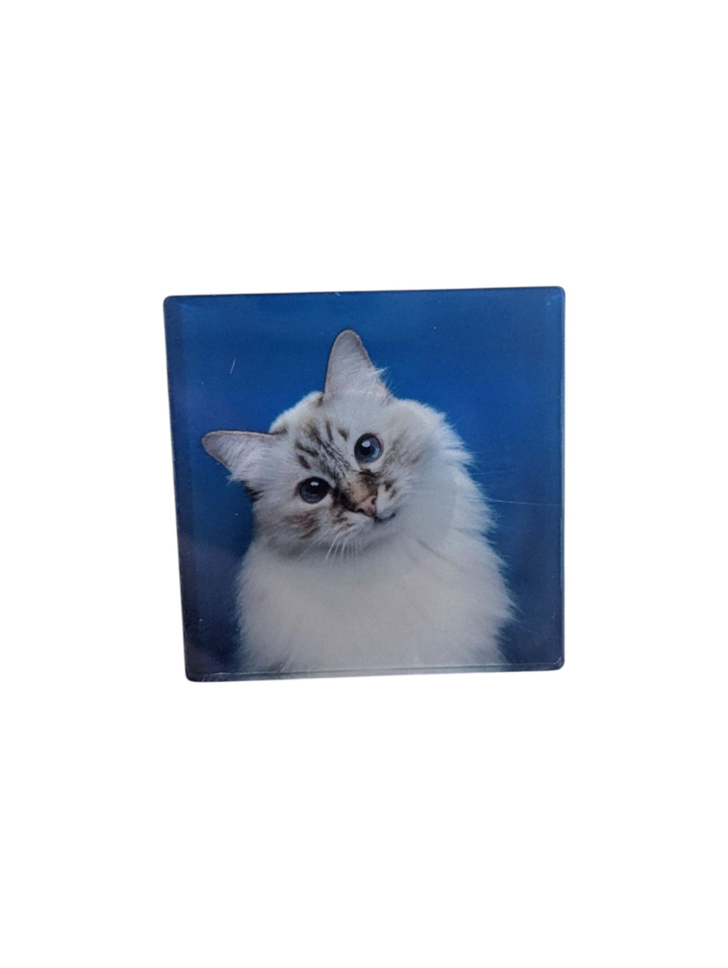Cat Lover's Car Vent Clip Air Freshener – Refillable Essential Oil Diffuser - Made By Scratch Crafts