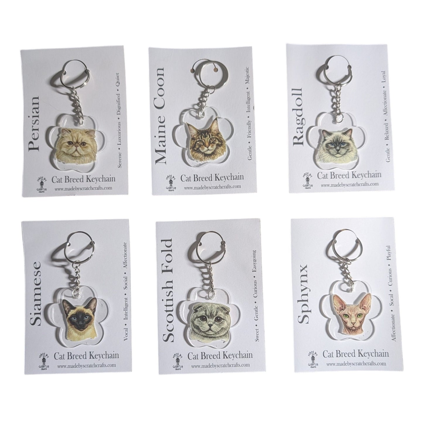 Six cat breed keychains displayed on individual white backing cards, arranged in a 2x3 grid. The breeds shown are Persian, Maine Coon, Ragdoll, Siamese, Scottish Fold, and Sphynx, each with a small cat-shaped keychain and metal key ring.