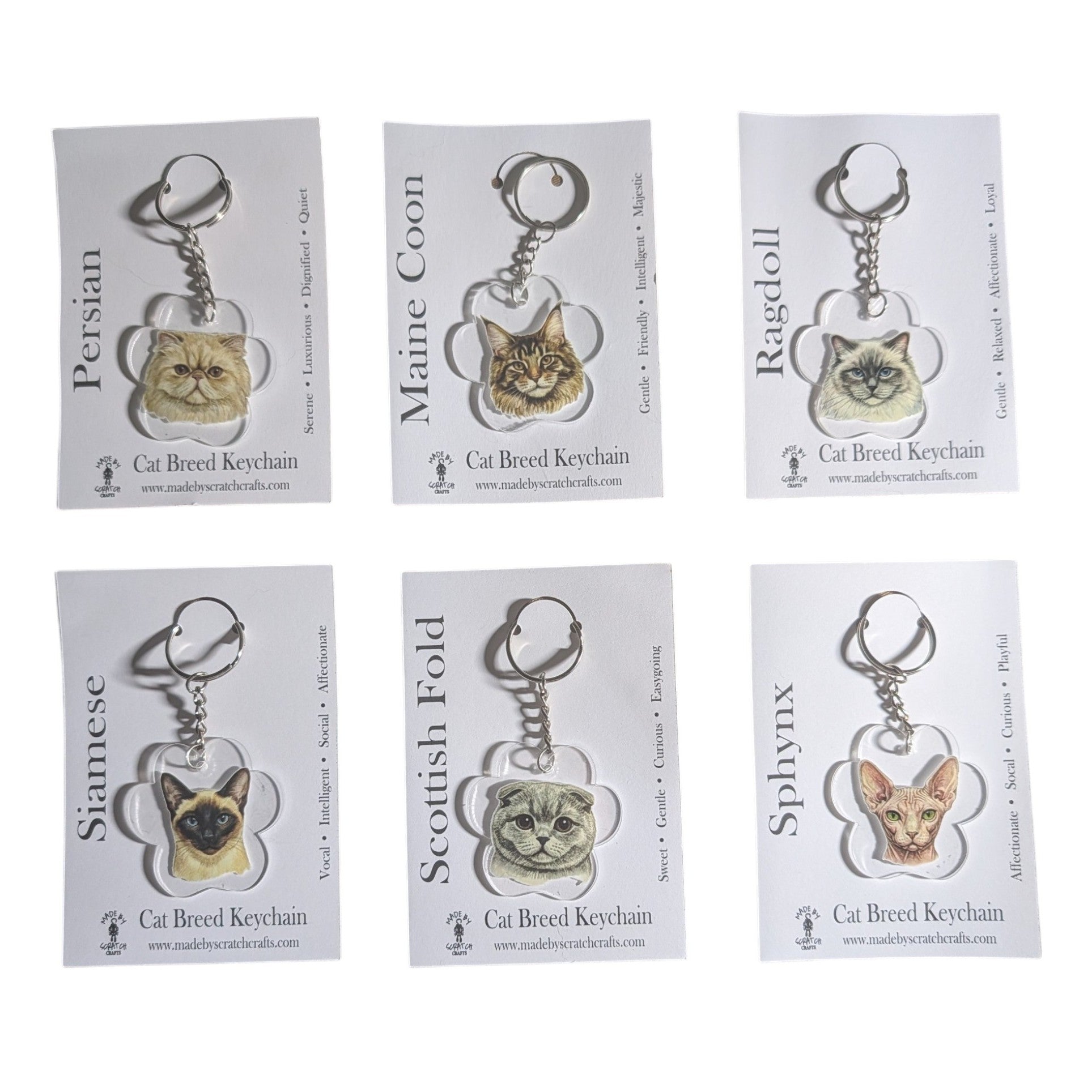 Six cat breed keychains displayed on individual white backing cards, arranged in a 2x3 grid. The breeds shown are Persian, Maine Coon, Ragdoll, Siamese, Scottish Fold, and Sphynx, each with a small cat-shaped keychain and metal key ring.
