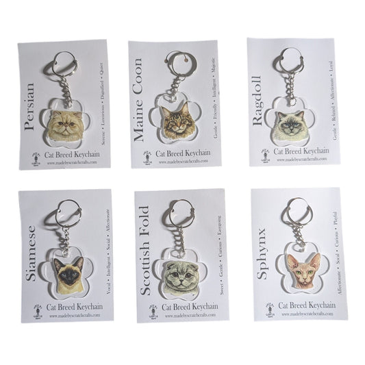 Six cat breed keychains displayed on individual white backing cards, arranged in a 2x3 grid. The breeds shown are Persian, Maine Coon, Ragdoll, Siamese, Scottish Fold, and Sphynx, each with a small cat-shaped keychain and metal key ring.