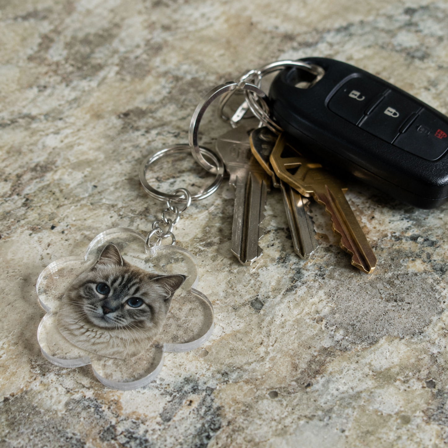 A custom acrylic pet keychain shaped like a paw print, featuring a printed photo of a ragdoll cat, attached to a keyring with metal keys and a black car key fob, resting on a textured stone countertop.