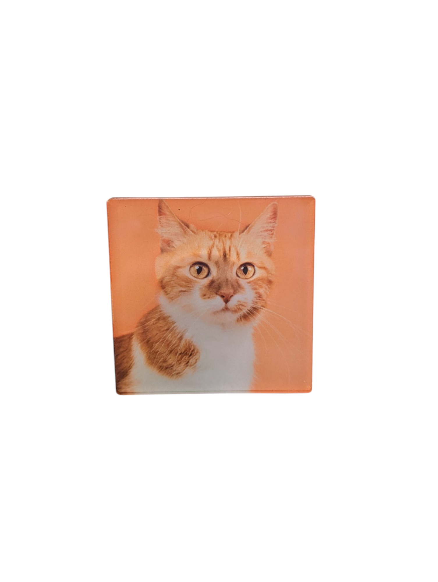 Cat Lover's Car Vent Clip Air Freshener – Refillable Essential Oil Diffuser - Made By Scratch Crafts
