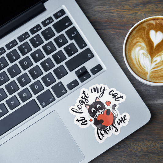 At Least My Cat Loves Me sticker