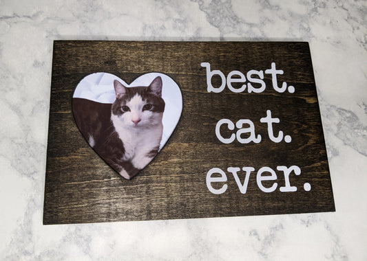 best. cat. ever.  Picture Frame - Made By Scratch Crafts