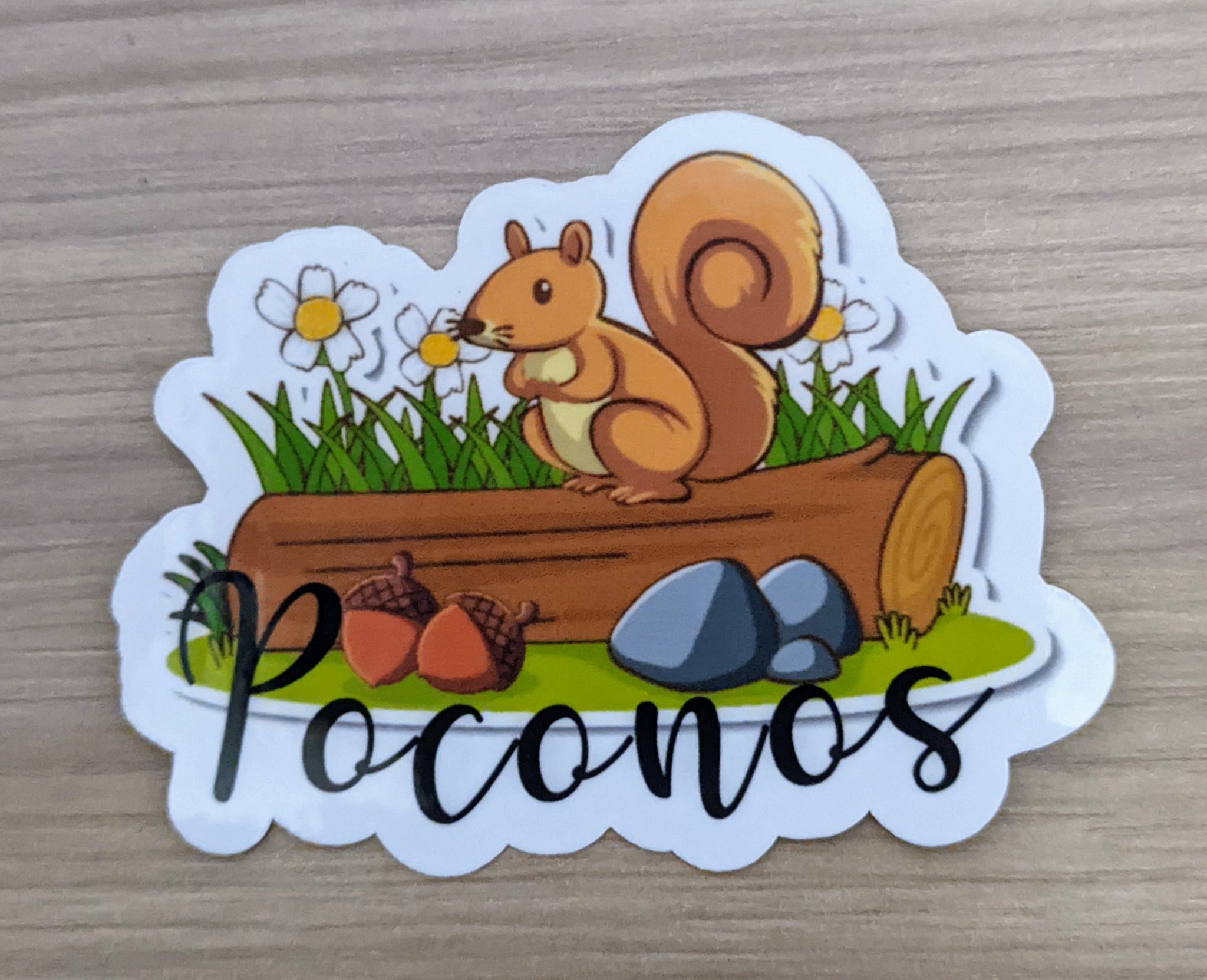 Poconos, Pocono Mountains, sticker, souvenir, squirrel 