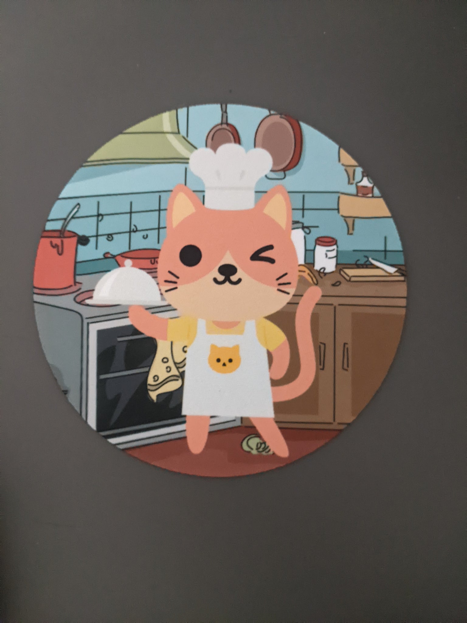 cat in kitchen, non-slip rubber jar opener