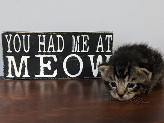 Rectangular wooden sign with a rustic, weathered black background and white lettering that reads 'YOU HAD ME AT MEOW'.